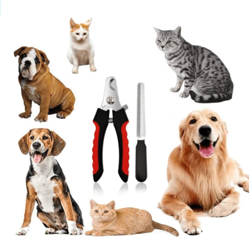 Say goodbye to pet grooming struggles! ๐พโจ Check out our multifunctional stainless steel nail clippers for dogs and cats, perfect for keeping those nails neat and tidy! ๐ถ๐ฑโ๏ธ #PetCare #GroomingEssentials
