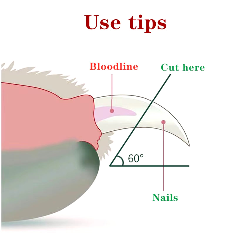 Illuminate Grooming with Our Professional LED Pet Nail Clipper - Perfect for Cats and Small Dogs!